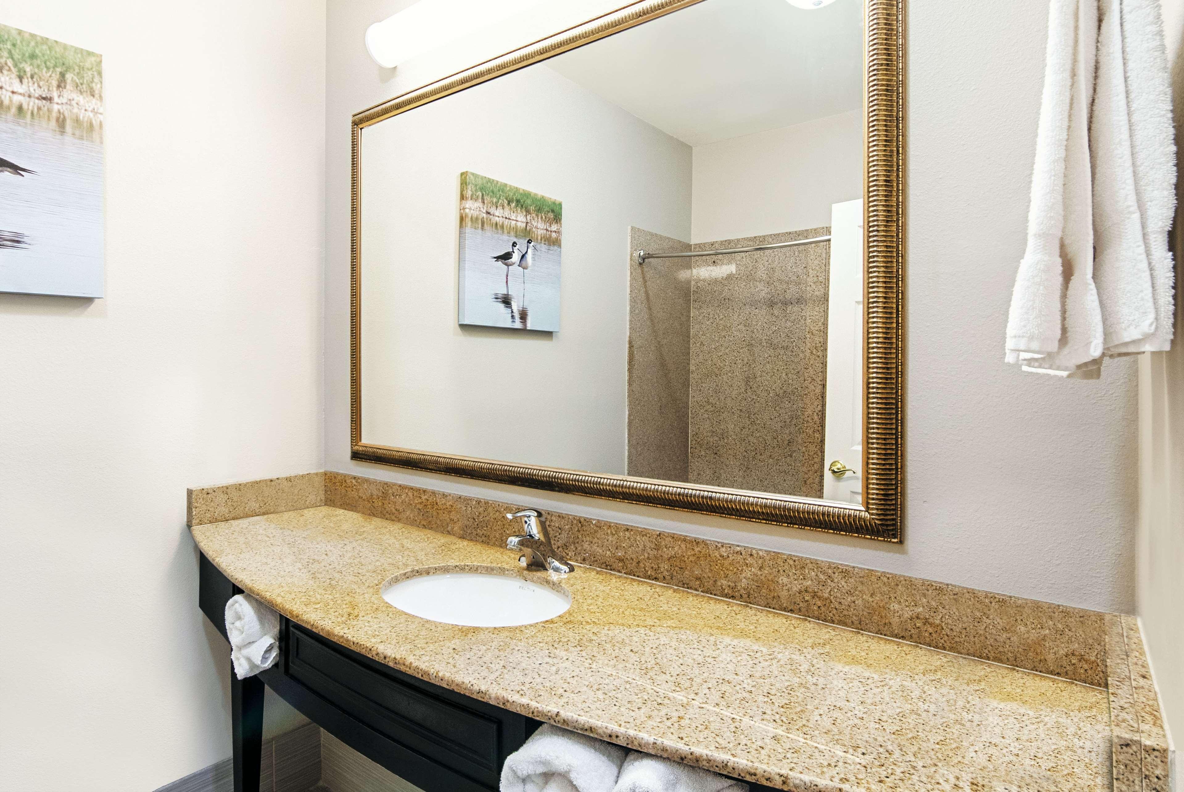 La Quinta By Wyndham Alamo-Mcallen East מראה חיצוני תמונה